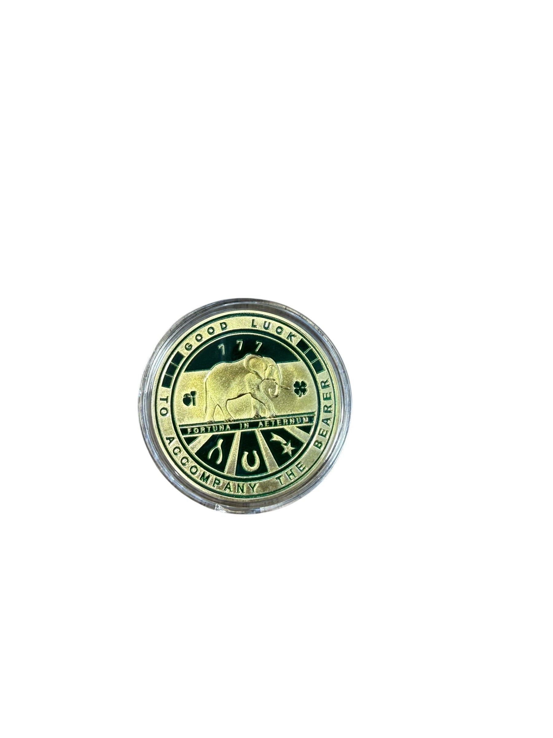 Good Luck Coin