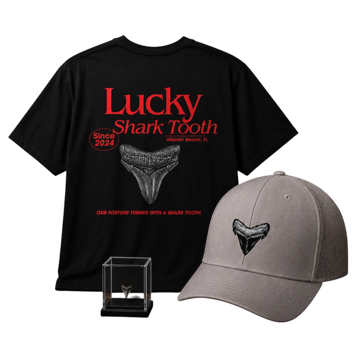 Lucky Shark Tooth Bundle